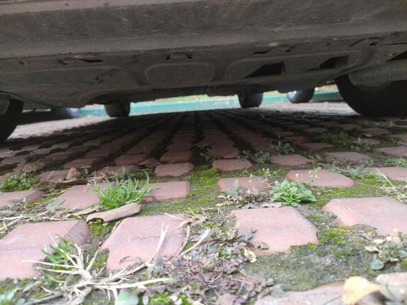 [南京·苏A] 二手大众甲壳虫2014款 1.4TSI 时尚型