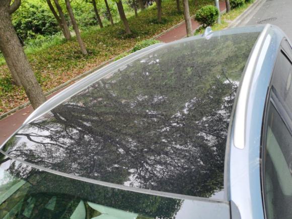 [上海·沪A] 二手岚图汽车岚图FREE2021款 四驱增程版专属豪华套装