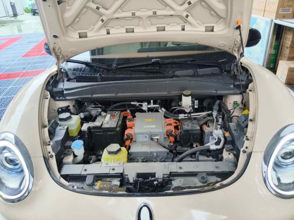 [上海·沪A] 二手欧拉欧拉好猫2021款 500km长续航 波塞冬版 三元锂