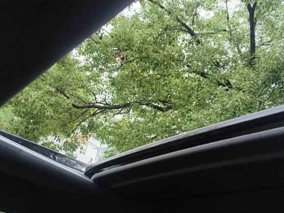 [上海·浙G] 二手东风风神奕炫2023款 马赫版 1.5T 自动追猎骑士版