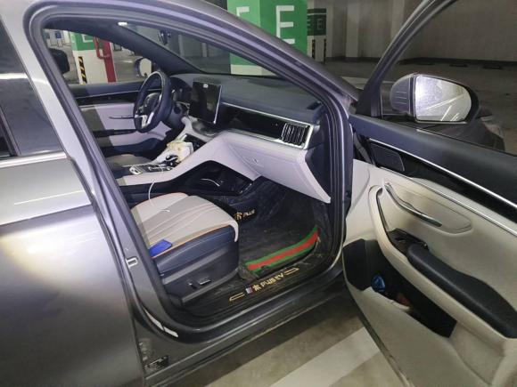 [上海·沪A] 二手比亚迪宋PLUS新能源2021款 EV 尊贵型