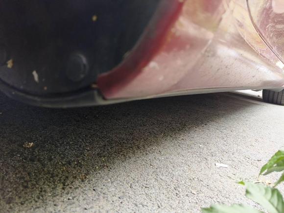 [上海·沪A] 二手特斯拉Model 32021款 标准续航后驱升级版