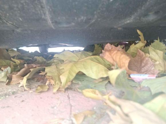 [济南·苏E] 二手比亚迪宋MAX2017款 1.5T 自动智联精英型 7座