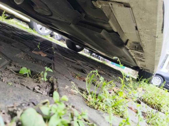 [上海·浙C] 二手丰田雷凌2021款 双擎 1.8H E-CVT领先版