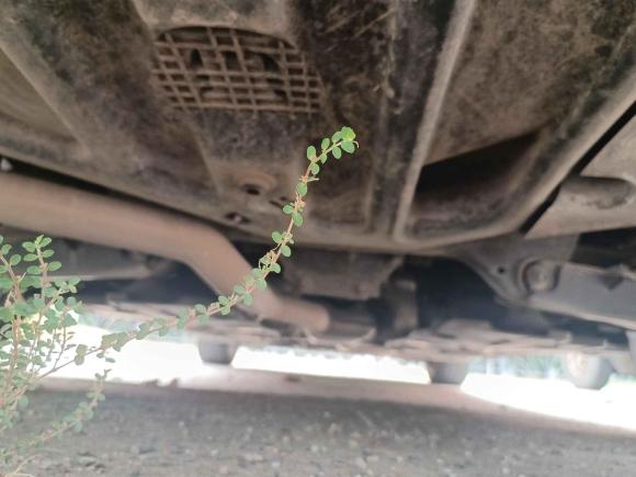 [苏州·苏U] 二手奔驰奔驰C级2013款 C 180 经典型 Grand Edition