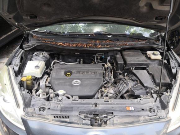 [广州·粤A] 二手马自达马自达52011款 2.0L 自动豪华型