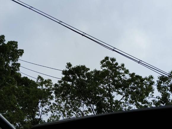 [上海·沪D] 二手哈弗哈弗H6 Coupe2015款 蓝标 2.0T 手动两驱精英型