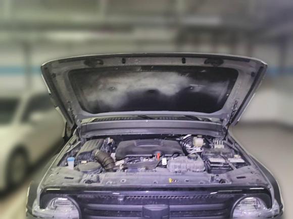 [深圳·粤S] 二手坦克坦克3002024款 2.0T 征服者