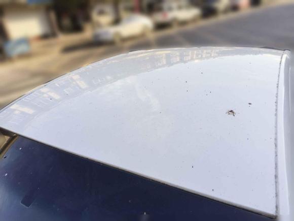 [湖州·浙E] 二手别克英朗2017款 15N 手动进取型