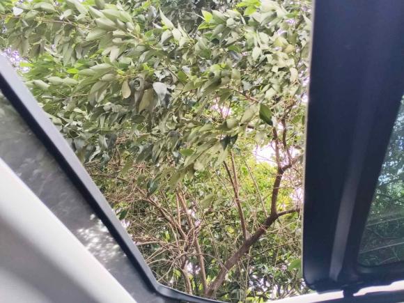 [上海·沪A] 二手荣威荣威RX5新能源2017款 ERX5 EV400 电动互联网旗舰版