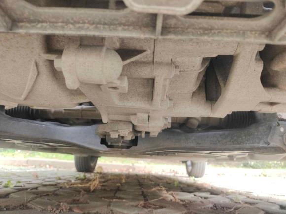 [上海·沪A] 二手欧拉欧拉黑猫2019款 351km 亲子版