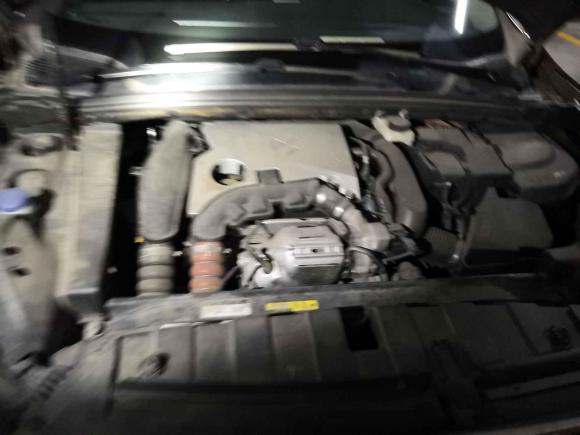 [深圳·粤V] 二手DSDS 62016款 1.6T 雅致版THP160