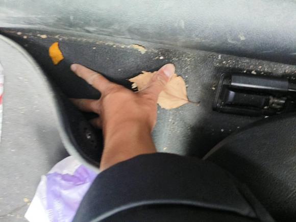 [南通·苏E] 二手奥迪奥迪A6L2016款 TFSI 技术型