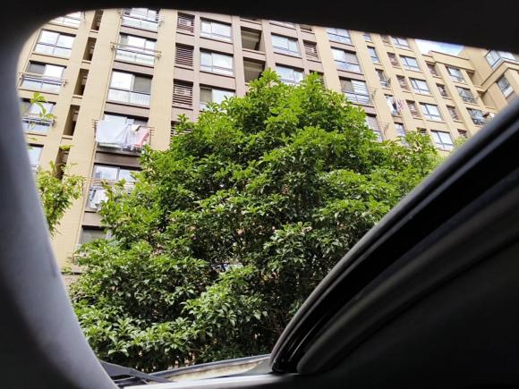 [上海·浙A] 二手本田歌诗图2012款 2.4L 豪华版