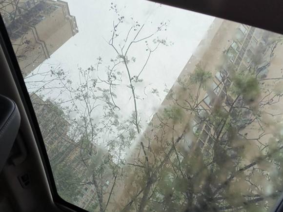 [成都·川A] 二手魏牌魏牌 VV52019款 升级款 2.0T 两驱超豪型 国V