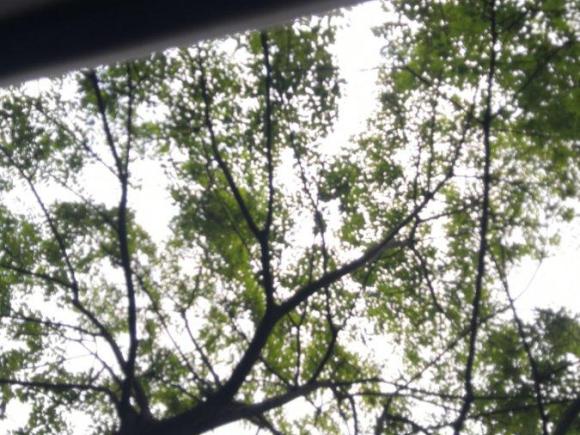 [上海·沪D] 二手宝马宝马3系2018款 320Li M运动曜夜版