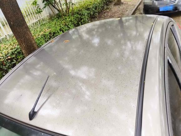 [无锡·苏E] 二手日产阳光2015款 1.5XE 手动舒适版