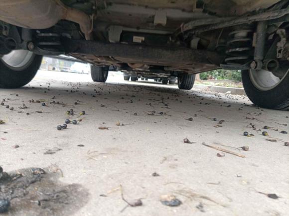 [无锡·苏B] 二手宝骏宝骏5302021款 全球车周年纪念版 1.5T 手动舒适型 6座