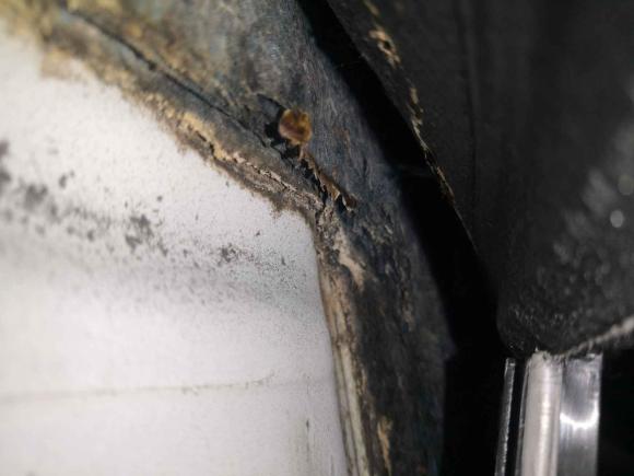 [合肥·皖A] 二手奔腾奔腾X802013款 2.3L 自动豪华型