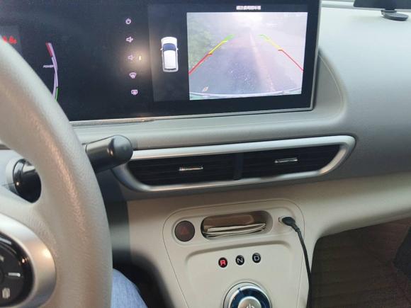 [杭州·粤B] 二手欧拉欧拉白猫2020款 401km 旗舰型