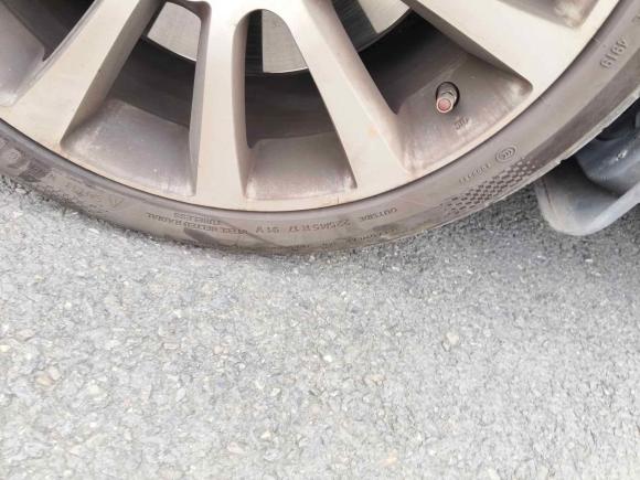 [杭州·浙A] 二手菲亚特致悦2014款 1.4T 自动豪华版