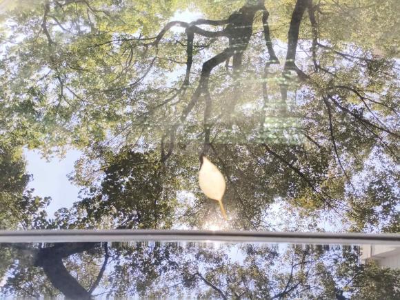 [杭州·浙A] 二手斯柯达明锐2018款 TSI230 DSG豪华版