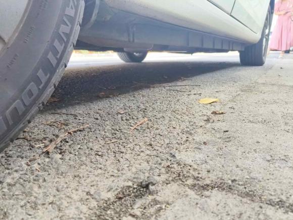 [湖州·浙E] 二手比亚迪秦新能源2018款 1.5T 智联精英型