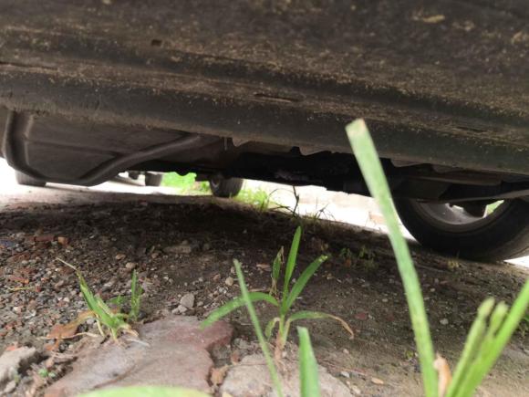 [北京·京N] 二手大众桑塔纳2015款 1.6L 自动舒适版