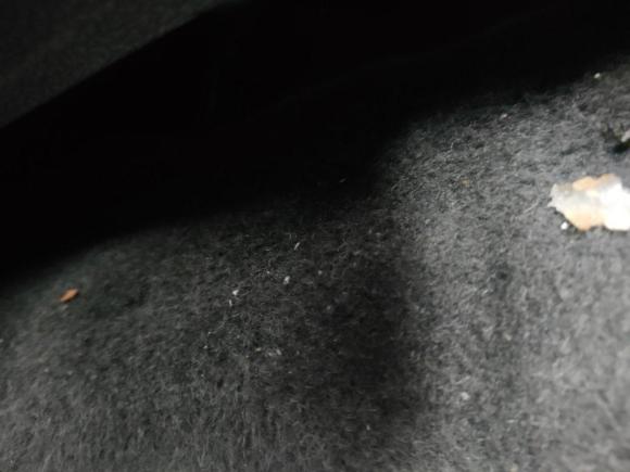 [西安·陕U] 二手丰田亚洲龙2022款 双擎 2.5L 豪华版