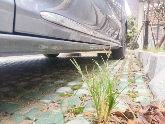 [苏州·苏E] 二手荣威荣威iMAX82021款 400TGI Supreme系列至尊版