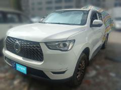 [长沙·湘F] 长城炮2019款 2.0T商用版手动柴油两驱精英型长箱GW4D20M