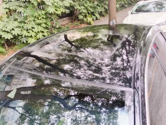 [上海·豫R] 二手本田雅阁2018款 260TURBO 豪华版 国V