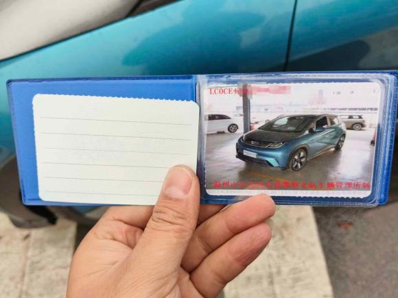 [温州·浙C] 二手比亚迪海豚2021款 401km 骑士版