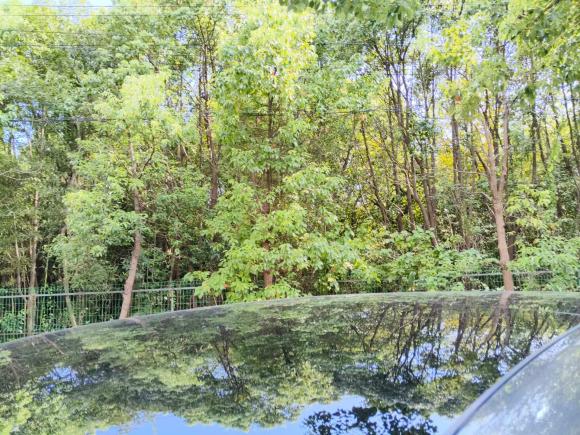 [上海·苏E] 二手理想汽车理想L72023款 Air