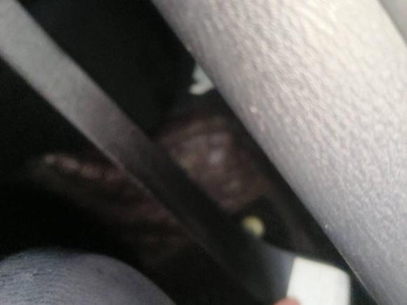 [南昌·赣A] 二手马自达马自达CX-52020款 2.0L 自动两驱智慧型