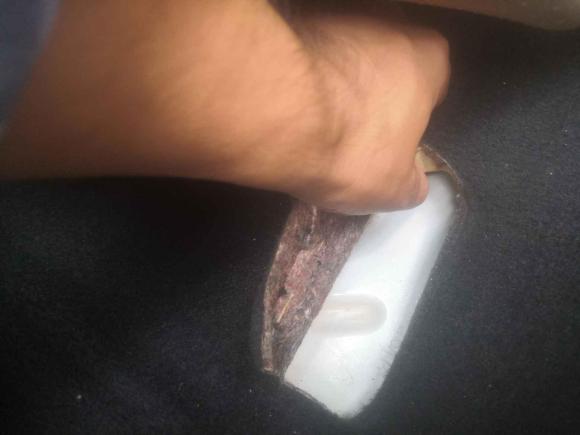 [南京·苏A] 二手福特福克斯2012款 两厢 1.6L 自动风尚型