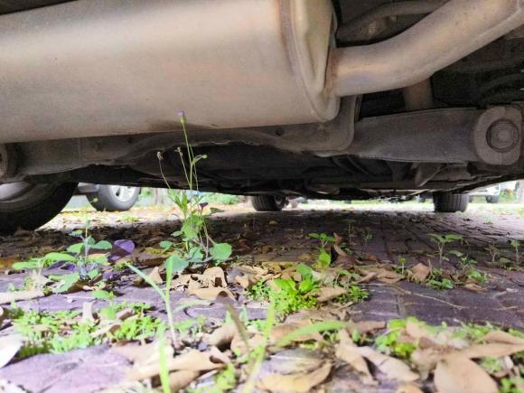 [佛山·粤E] 二手本田杰德2013款 1.8L 自动舒适版 6座