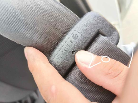 [武汉·鄂A] 二手零跑汽车零跑T032020款 400轻享版