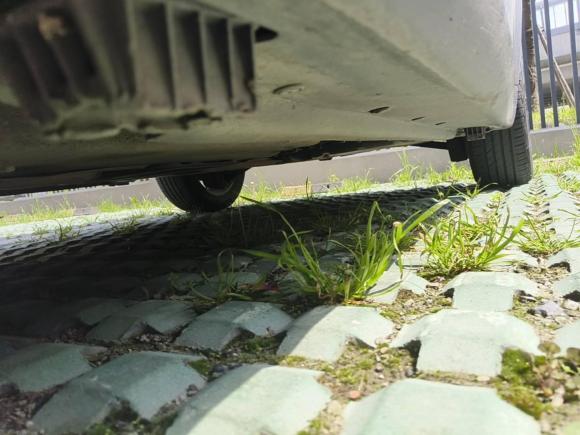 [嘉兴·浙F] 二手MINIMINI2011款 1.6L COOPER Fun