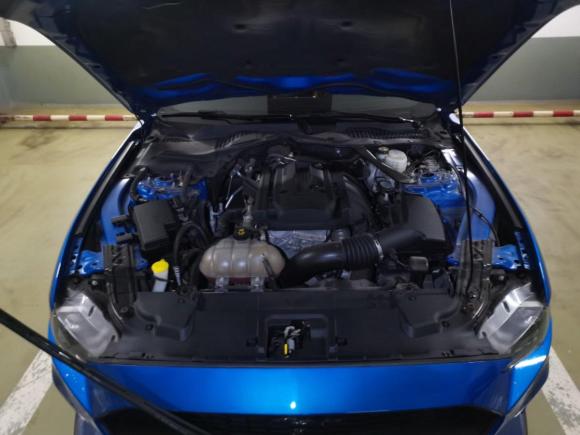 [上海·沪B] 二手福特Mustang2019款 2.3L EcoBoost