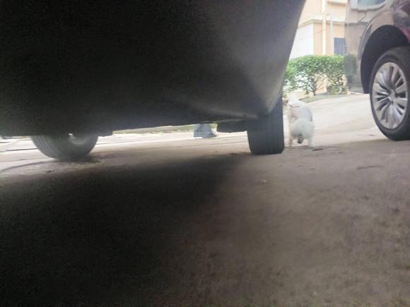 [青岛·鲁B] 二手标致标致40082017款 350THP 精英版