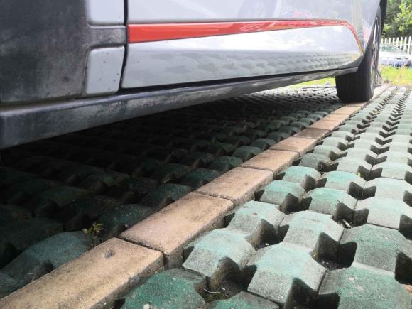 [嘉兴·浙F] 二手比亚迪海豚2021款 405km 时尚版