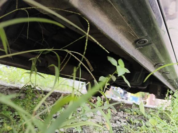 [佛山·粤E] 二手东风风行风行F6002016款 F600 1.5T 尊享型