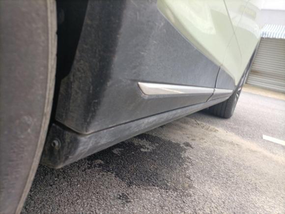 [上海·沪A] 二手威马汽车威马W62021款 520km ACE极智版