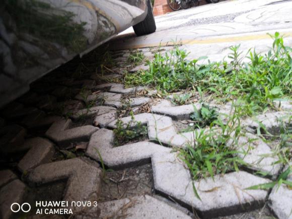 [南京·苏A] 二手别克林荫大道2009款 2.8 精英型