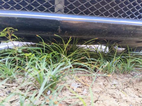 [合肥·皖A] 二手奔驰奔驰S级2012款 S 300 L 豪华型 Grand Edition