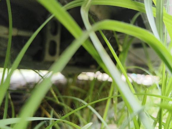 [南通·苏F] 二手别克昂科拉2015款 1.4T 自动两驱都市领先型