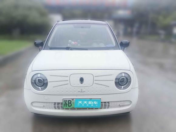 [无锡·苏B] 二手欧拉欧拉黑猫2022款 301km 基础型 三元锂