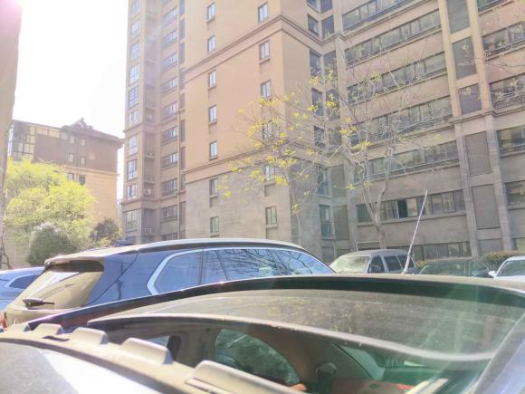 [南京·苏A] 二手大众甲壳虫2010款 2.0 BlackOrange舒适版