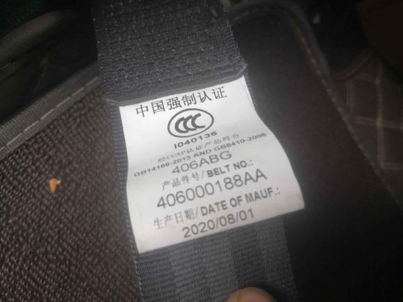 [芜湖·皖B] 二手奇瑞新能源大蚂蚁2020款 高能pro版